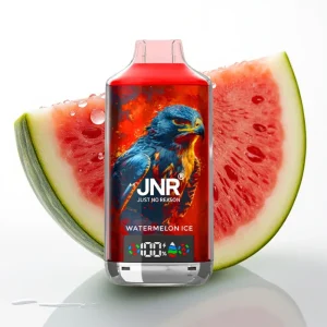 JNR Falcon X 18000 Puffs Vannmelon Is 750mAh Type-C - Online Store