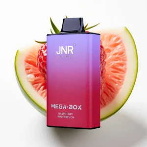JNR Mega Box 25000 Puffs 30ml Bringebær Vannmelon - Online Store