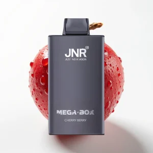 JNR Mega Box 25000 Puffs 30ml Kirsebær Bær Typ-C Lading - Online Store