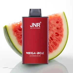 JNR Mega Box 25000 Puffs 30ml Vannmelon Is - Online Store