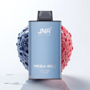 JNR Mega Box 25000 Puffs Blå Bringebær Type-C Lading Dual Mesh - Online Store