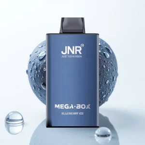 JNR Mega Box 25000 Puffs Blåbær Is 30ml Type-C - Online Store