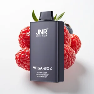 JNR Mega Box 25000 Puffs Blåbær Sur Bringebær Jordbær Type-C - Online Store