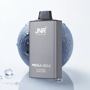 JNR Mega Box 25000 Puffs Blåbærtyggegummi 30ml Type-C - Online Store