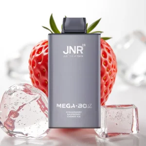 JNR Mega Box 25000 Puffs Dual Mesh Type-C Jordbær Bringebær Kirsebær Is - Online Store