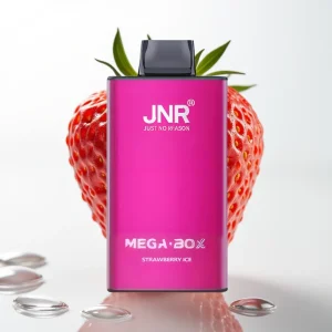 JNR Mega Box 25000 Puffs Dual Mesh Type-C Jordbær Is - Online Store