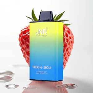 JNR Mega Box 25000 Puffs Type-C Lading Jordbær Bringebær Is - Online Store