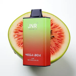 JNR Mega Box 25000 Puffs Type-C Lading Kiwi Vannmelon Is - Online Store