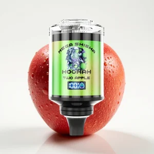 JNR Mega Shisha Hookah 100K Desktop To Epler - Online Store