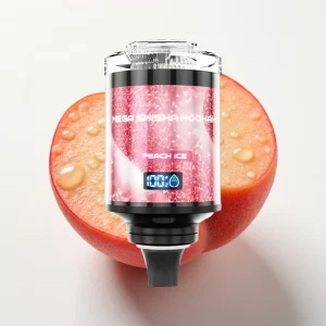 JNR Mega Shisha Hookah 100K Peach Is Desktop Kompatibel - Online Store