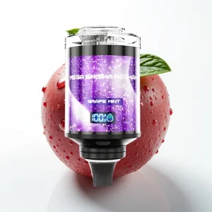 JNR Mega Shisha Hookah 100K Skrivebordskompatibel Druemynte - Online Store