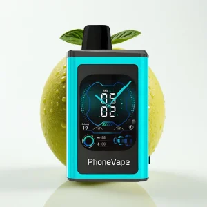 JNR PhoneVape 30000 puff Oppladbar Turbo Miami Mynte - Online Store