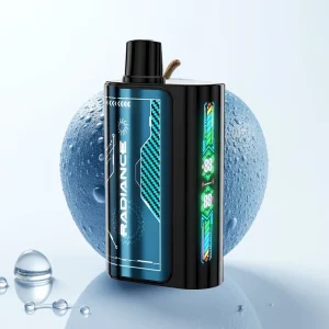 JNR Radiance 31000 Puffs BLÅ BÆR IS 28ml Dual Mesh - Online Store