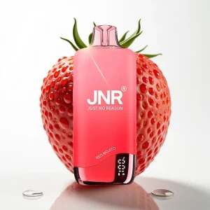 JNR Rainbow 10500 Puffs 18ml Rød Mojito - Online Store