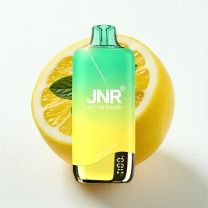 JNR Rainbow 10500 Puffs 18ml Sitrusmynte - Online Store