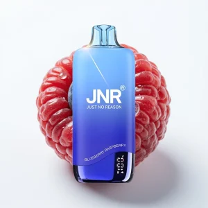 JNR Rainbow 10500 Puffs Blåbringebær 18ml 0.8ohm - Online Store