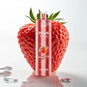 JNR Shisha Hookah 12000 Puffs 24ml 750mAh Jordbær Is - Online Store