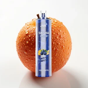 JNR Shisha Hookah 12000 Puffs 24ml 750mAh Lady Killa - Online Store