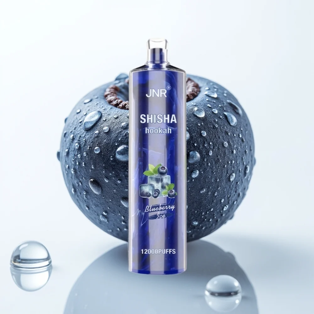JNR Shisha Hookah 12000 Puffs 24ml Blåbær Is Type-C - Online Store