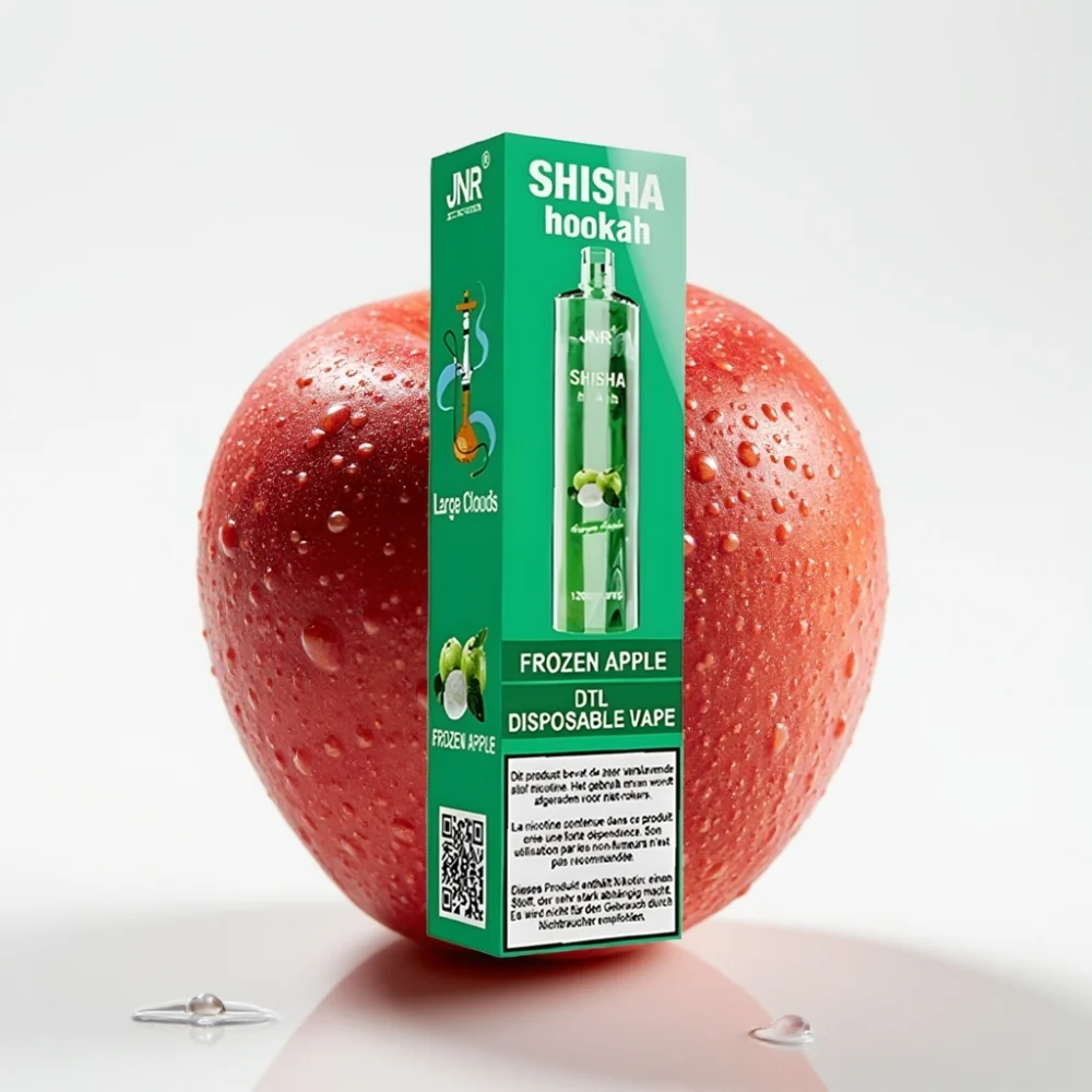 JNR Shisha Hookah 12000 Puffs 24ml Fryseeple Type-C - Online Store - Image 2