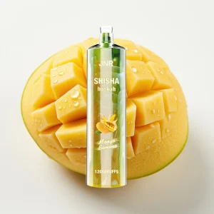 JNR Shisha Hookah 12000 Puffs 24ml Mango Banan Type-C - Online Store