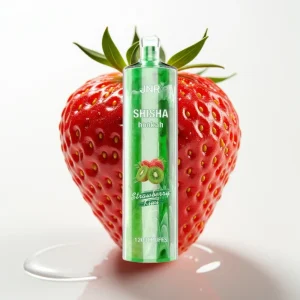 JNR Shisha Hookah 12000 Puffs 24ml Type-C Jordbær Kiwi - Online Store