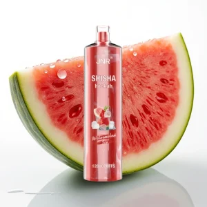 JNR Shisha Hookah 12000 Puffs 24ml Vannmelon Is Type-C - Online Store