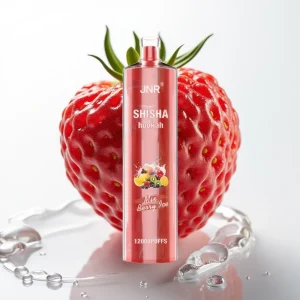 JNR Shisha Hookah 12000 Puffs Berry Is 24ml Type-C - Online Store