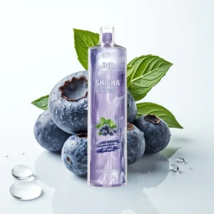 JNR Shisha Hookah 12000 Puffs Blåbær Mynte 24ml Type-C - Online Store
