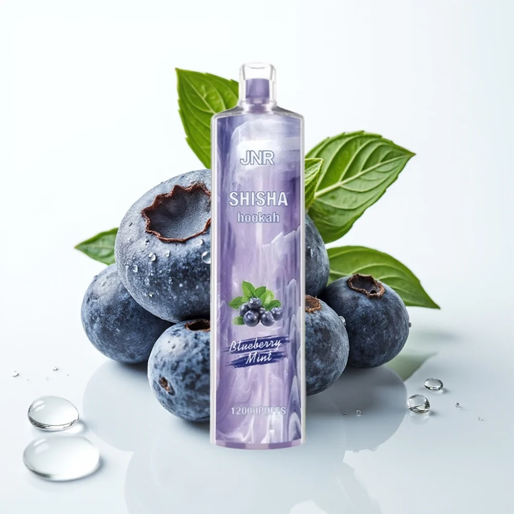 JNR Shisha Hookah 12000 Puffs Blåbær Mynte 24ml Type-C - Online Store