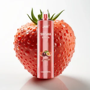 JNR Shisha Hookah 12000 Puffs Kjærlighet 66 24ml Type-C - Online Store