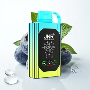 JNR Shisha Hookah Box 20500 Puffs Blåbær Mynte HD Skjerm 1000mAh Type-C - Online Store