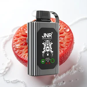 JNR Shisha Hookah Box 20500 Puffs HD Display Mixed Berry Is - Online Store