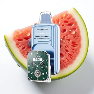 JNR VapeWatch 30000 Puff Blåbær Vannmelon 19mL 5% Dual Mesh - Online Store