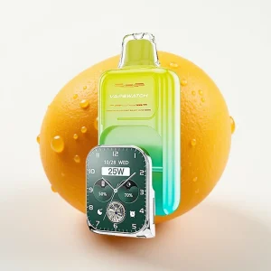 JNR VapeWatch 30000 Puffs 1000mAh Type-C Appelsin Mango - Online Store
