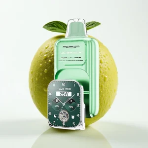 JNR VapeWatch 30000 Puffs Miami Mynte 1000mAh Type-C - Online Store