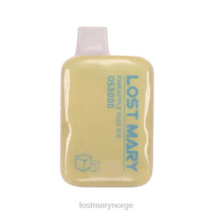 LOST MARY Vape Nikotin - mistet mary os5000 sitron mynte RB2V42 - Online Store