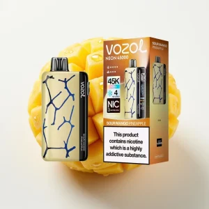 Vozol Neon 45K 45000 Puffs Justerbar Is & Luft Gjennomstrømming Disposable Vape Sur Mango Ananas - Online Store