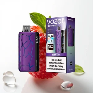 Vozol Neon 45K 45000 Puffs Justerbar Is og Luft Berry Mynte - Online Store