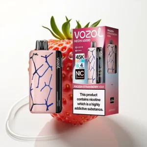 Vozol Neon 45K 45000 Puffs Justerbar Is og Luft Disposable Vape Frossen Jordbær Kiwi - Online Store